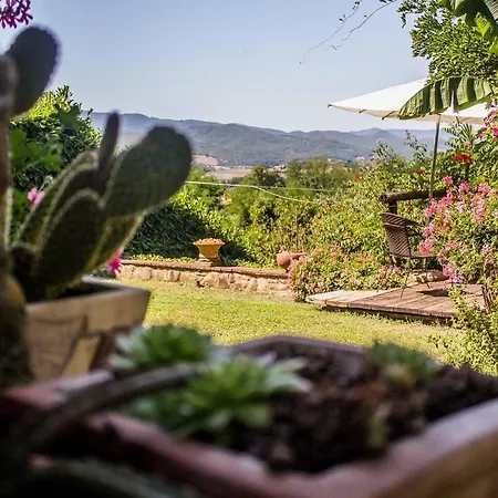 Tuscan Farm With Spectacular Views 别墅 维基奥