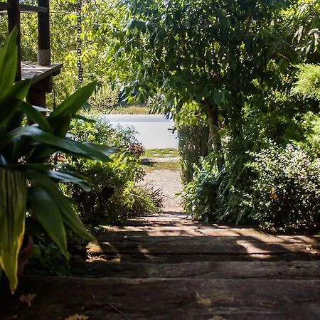 别墅 Tuscan Farm With Spectacular Views 维基奥