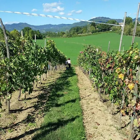 Tuscan Farm With Spectacular Views *