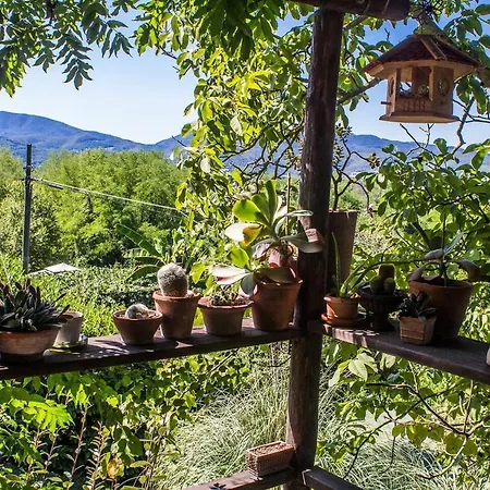 Tuscan Farm With Spectacular Views *