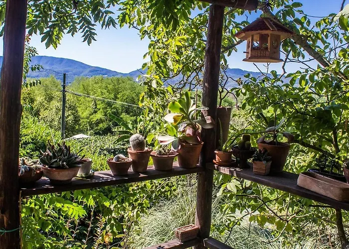 Tuscan Farm With Spectacular Views *